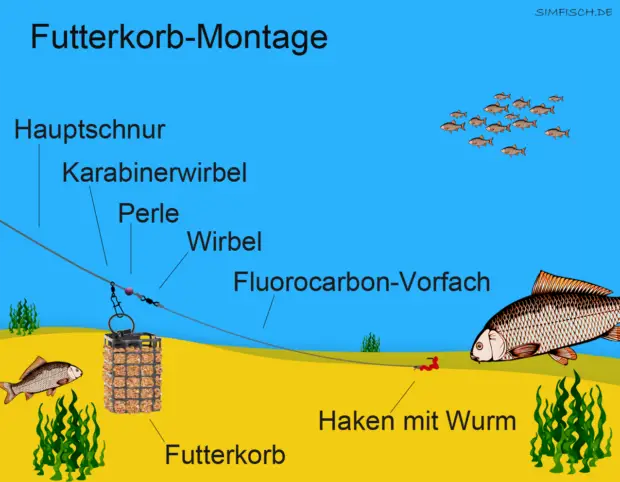 Angeln mit Futterkorb