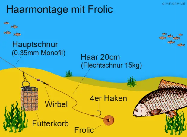 Haarmontage mit Frolic