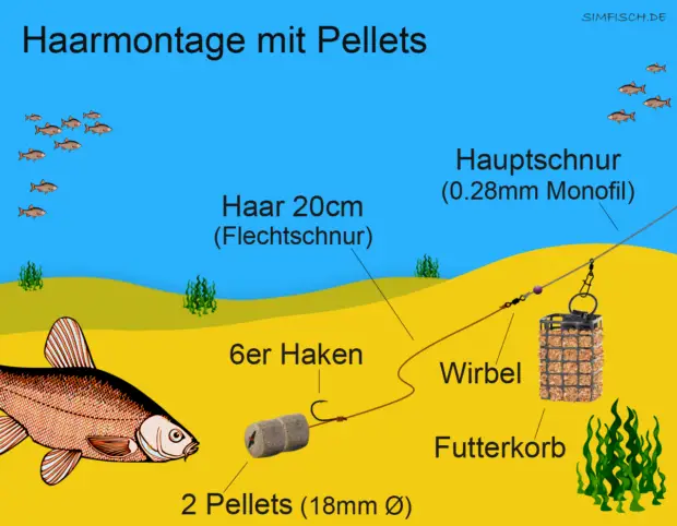 Haarmontage mit Pellets