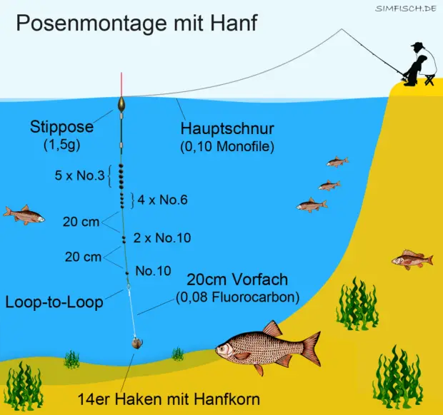 Posenmontage mit Hanfkorn