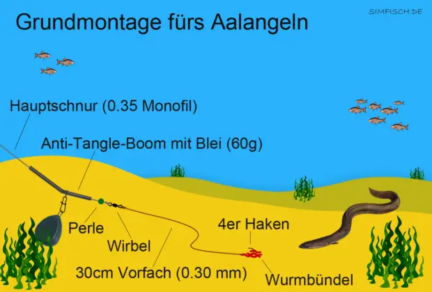 Grundangeln-Montage für Aal