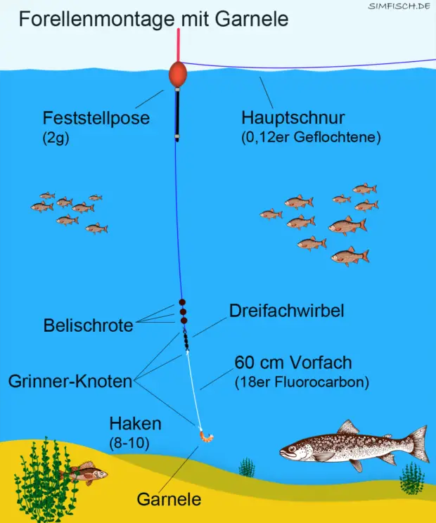 Angeln mit Garnelen