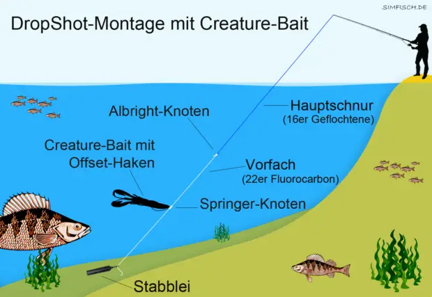 Dropshot-Montage mit Creature-Bait