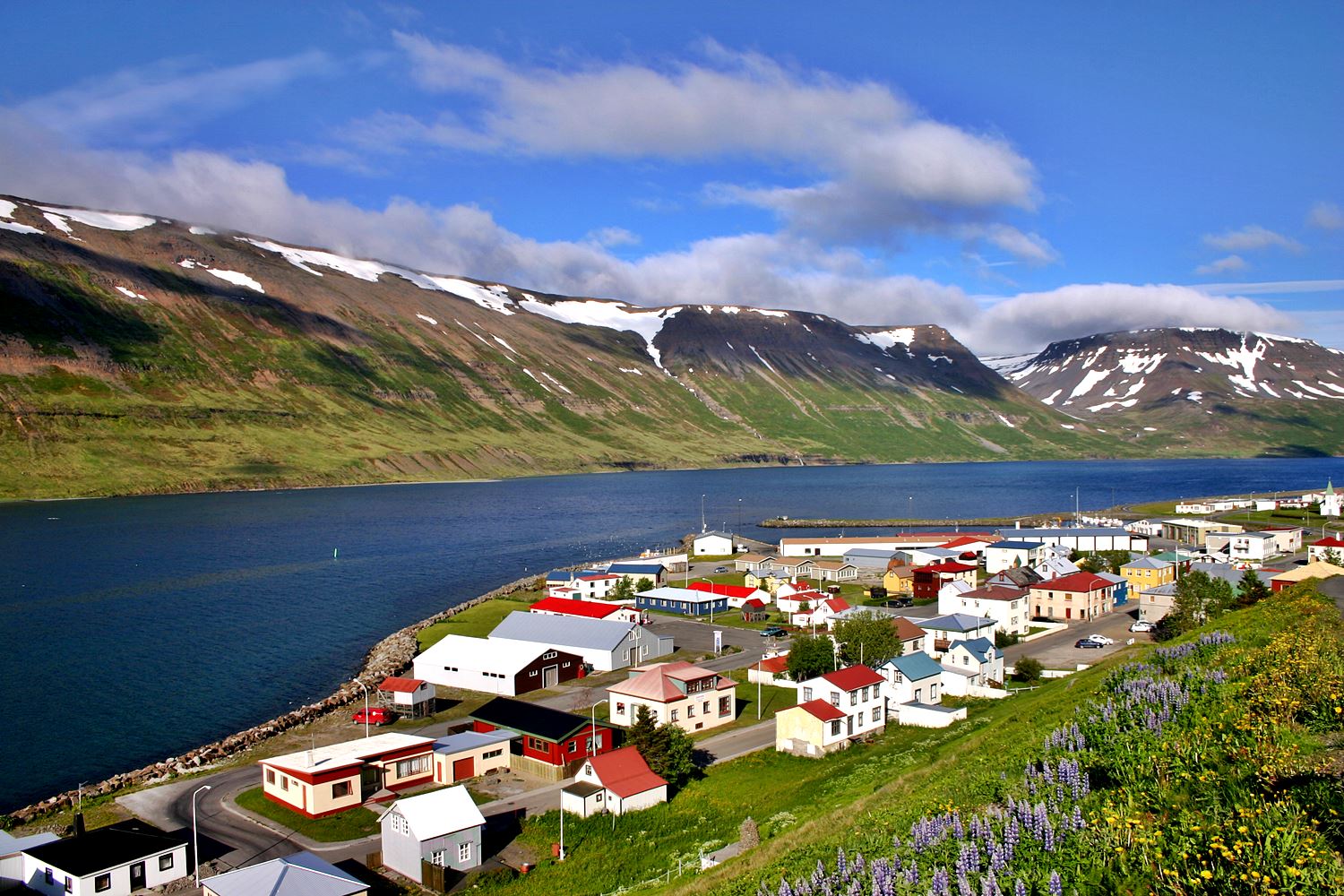 Angeln in Island Simfisch.de Angeln und Outdoor!