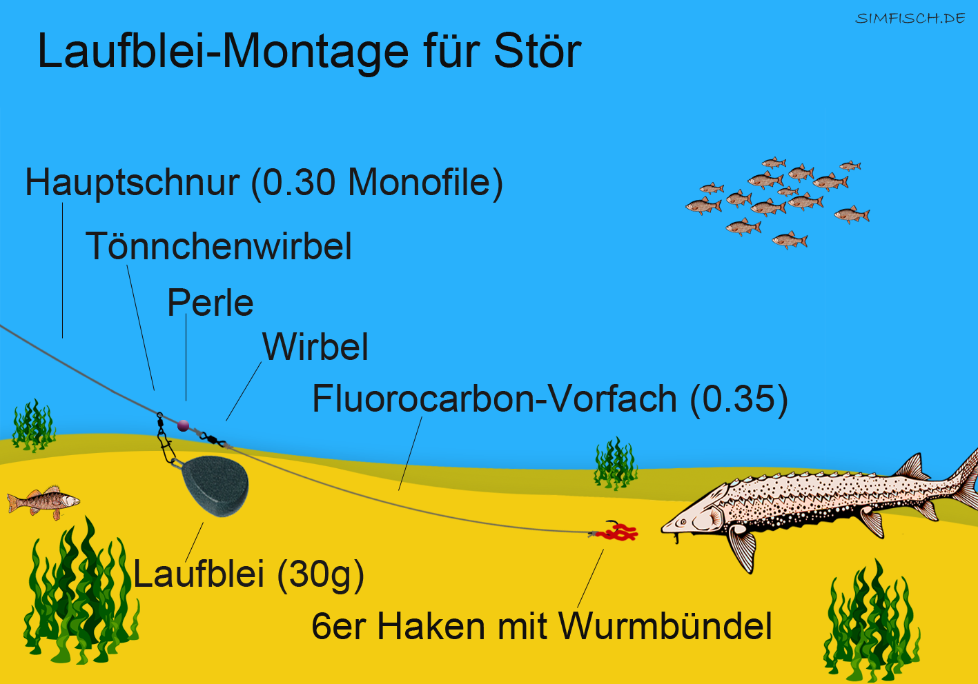 Angeln auf Stör | Simfisch.de – Angeln und Outdoor!