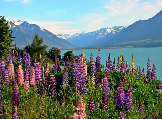 Angeln in Neuseeland