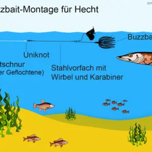 Buzzbait-Montage für Hecht