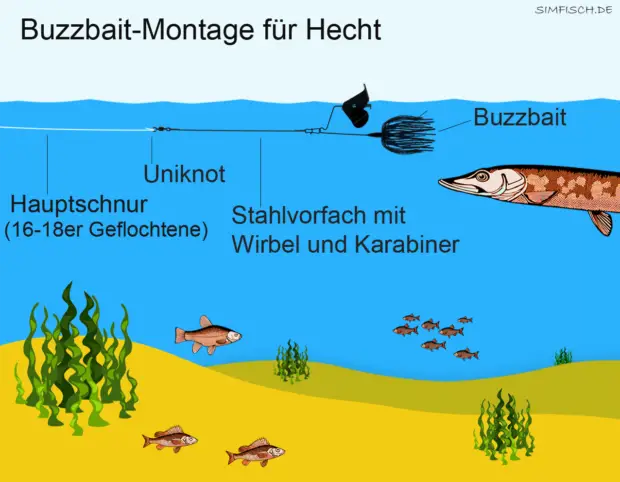 Buzzbait-Montage für Hecht