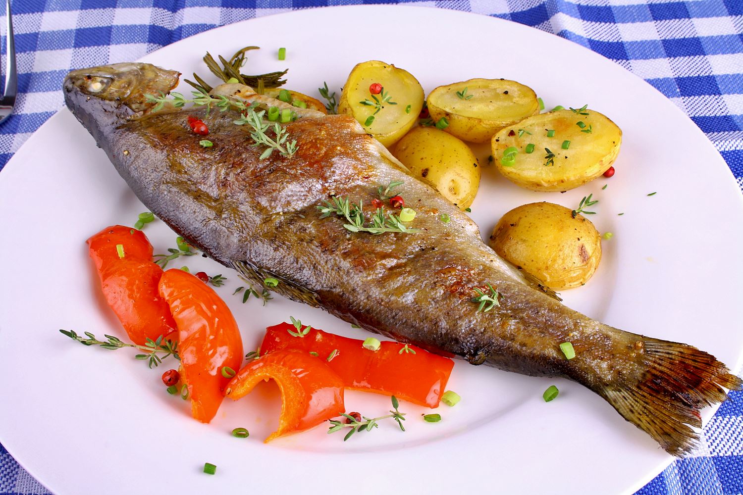 Gegrillte Forelle klassische Art mit Zitrone und Kartoffeln | Simfisch.de