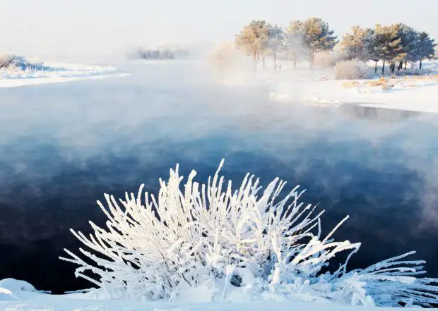 Winter am See