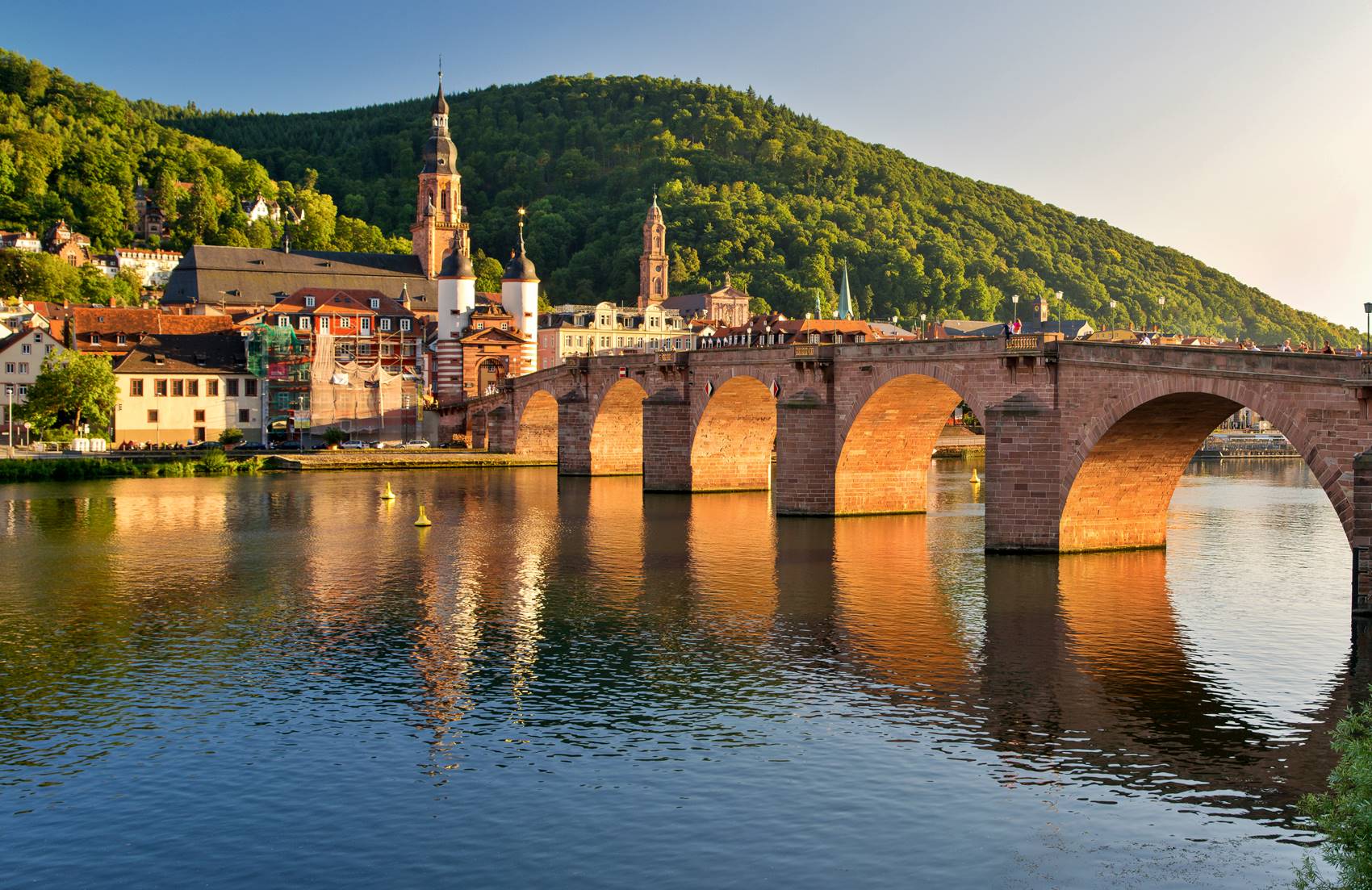 Angeln im Neckar  Simfisch de Angeln und Outdoor 