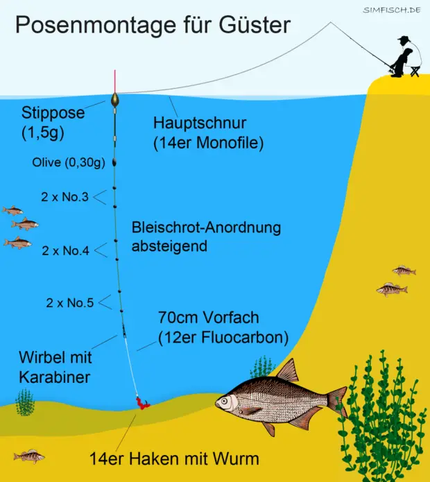 Angeln auf Güster mit Posenmontage