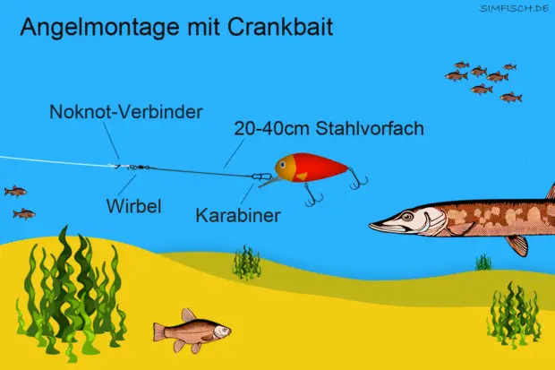 Angelmontage mit Crankbait