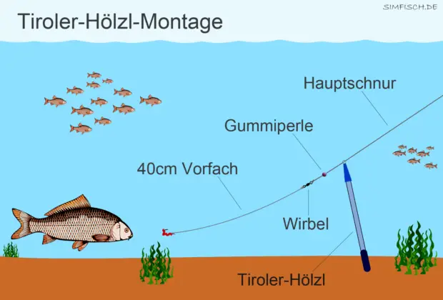Tiroler-Hölzl-Montage
