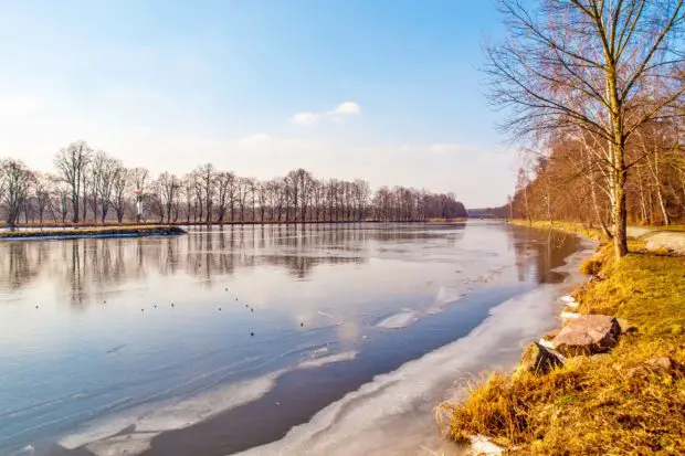 Winter