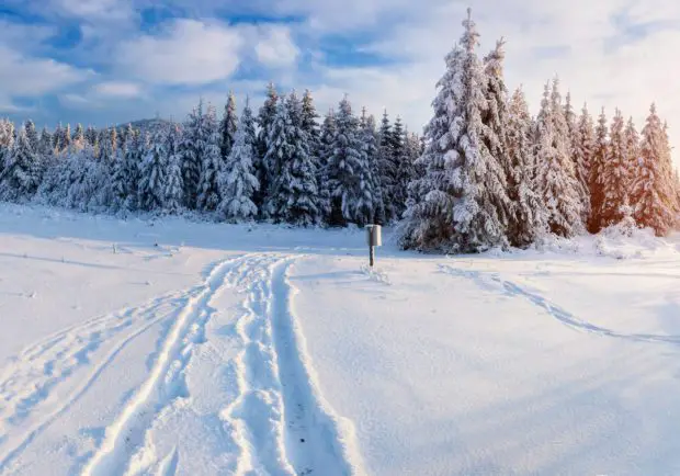 Winter