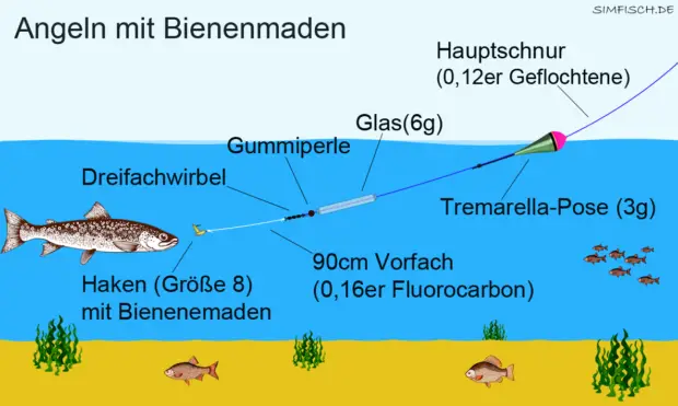 Forellenangeln mit Bienenmaden