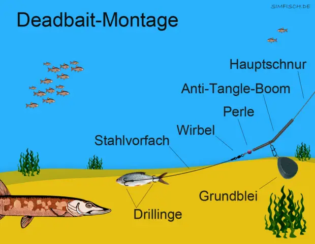 Deadbait-Montage