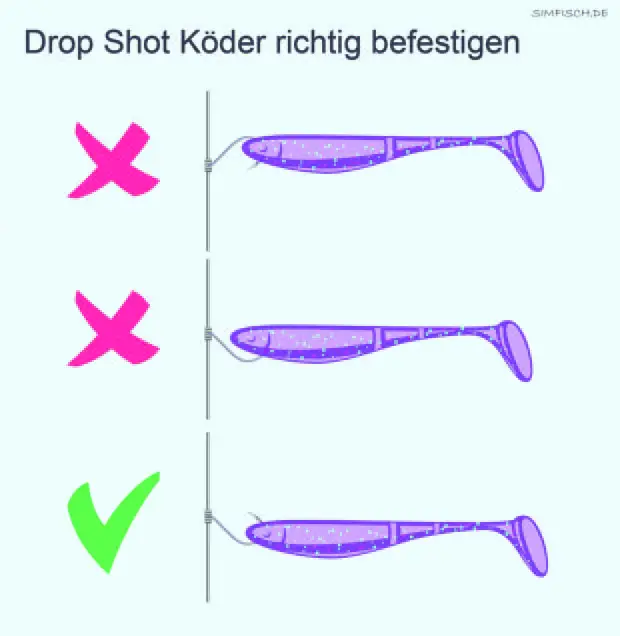 Drop-Shot-Köder befestigen