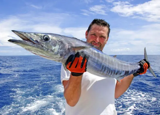 Wahoo