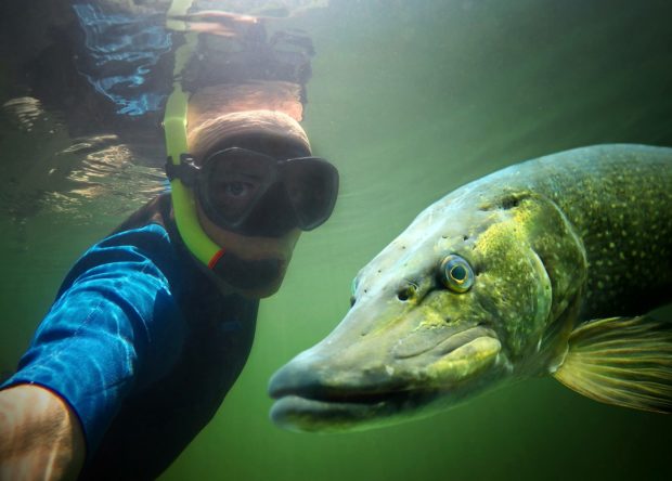 Unterwasserkamera fürs Angeln