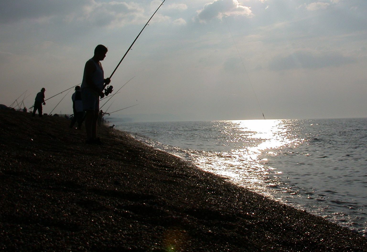Nilbarsch (Viktoriabarsch): Biologie, Lebensweise, Verbreitung