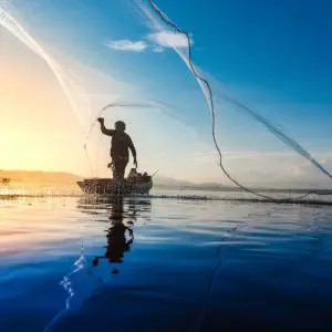 Fischen mit Wurfnetz: Fischfangtechnik mit Esprit!