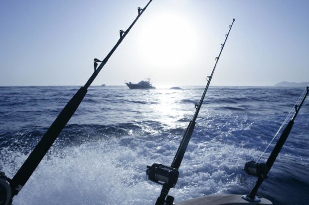 Big Game Fishing Reviere