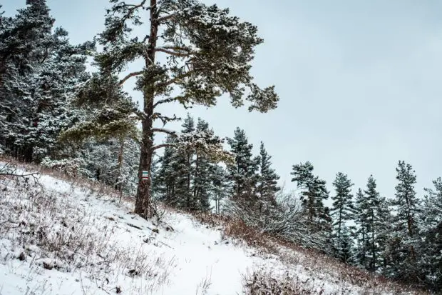 Winterlandschaft