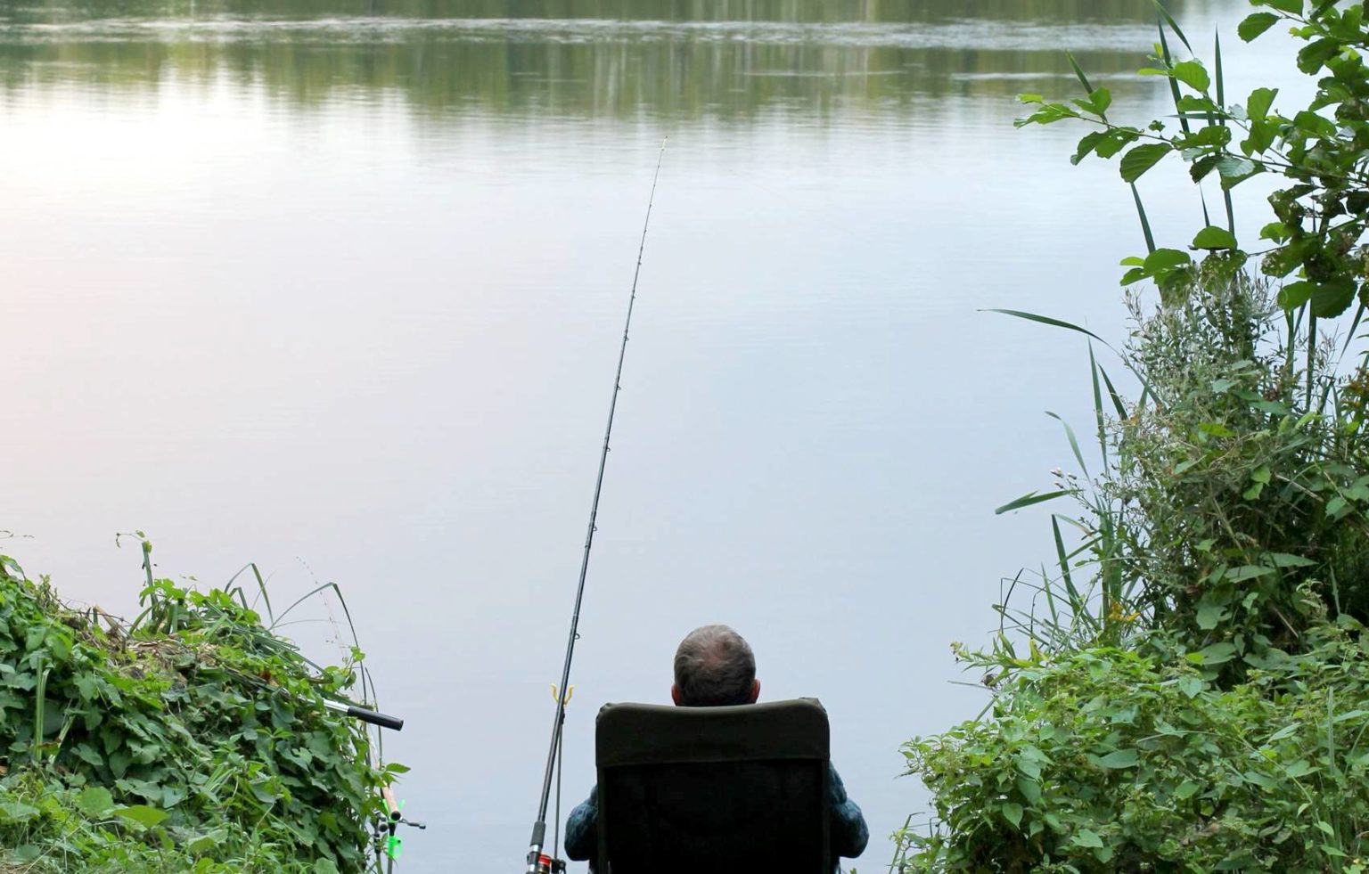 Zwergwels im Portrait Alle Infos zum kleinen, invasiven Fisch