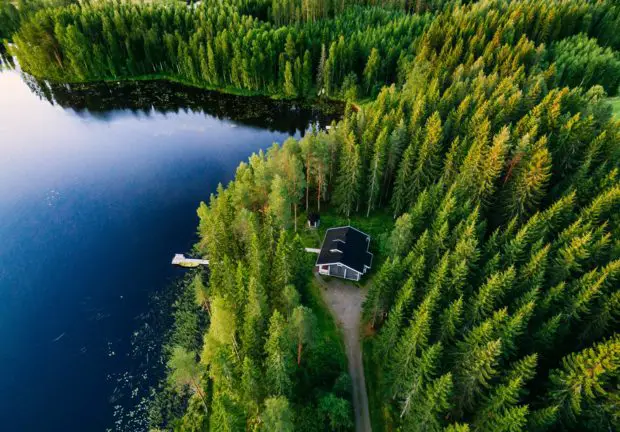 Luftaufnahme Wald