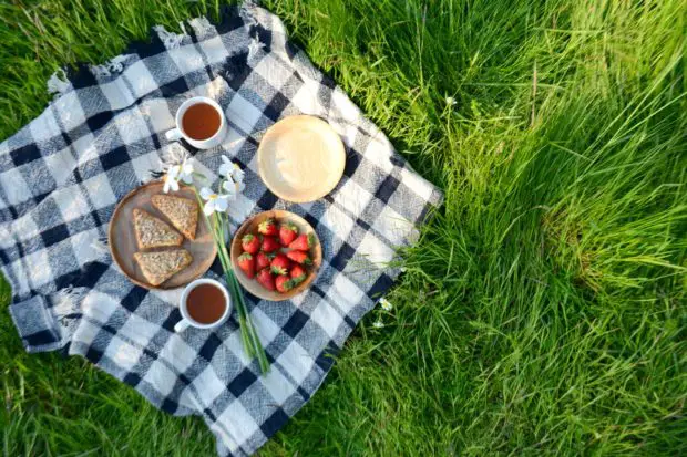 Picknick