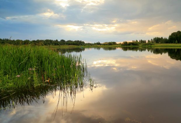 Forellensee bei Bremen