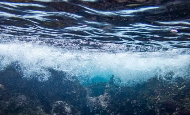 Im Wasser
