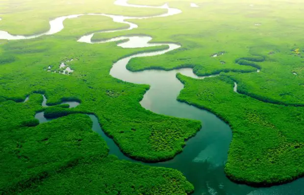 Fluss Amazonas