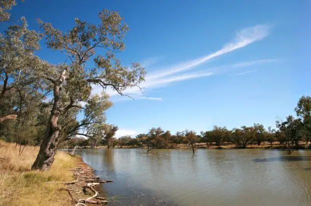 Süßwasserangeln in Australien