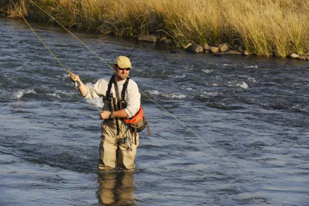 Fliegenfischen auf Salmonide