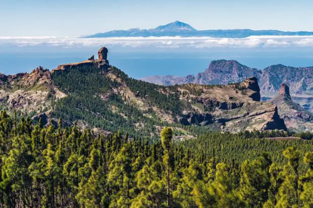 Gran Canaria