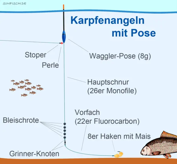 Posenmontage fürs Karpfenangeln