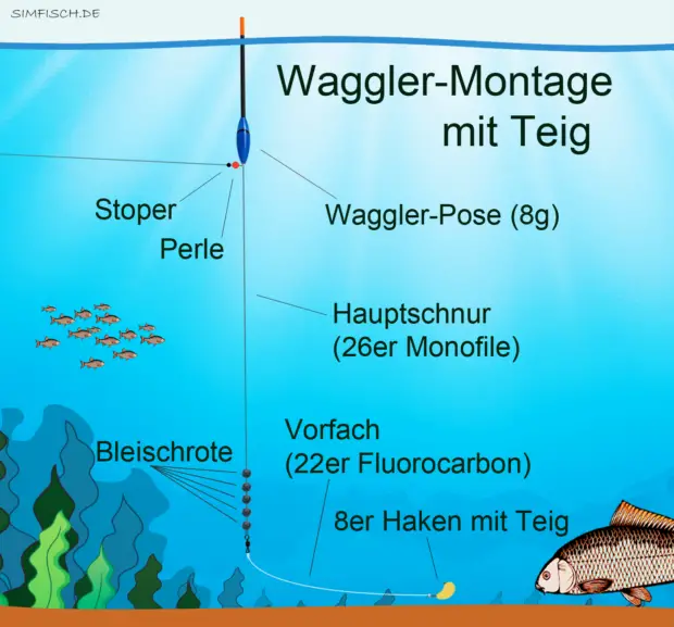 Waggler-Montage mit Teig
