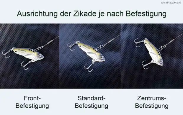 Einhängen der Zikade