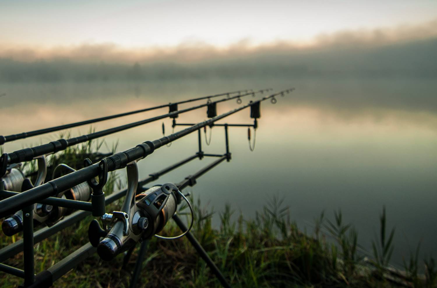 Karpfenruten: Kauftipps, Test & Vergleich 2022 | Simfisch.de - Angeln und  Outdoor!