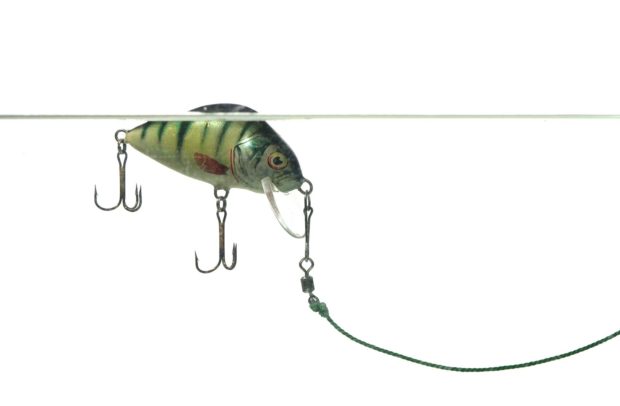 Crankbait