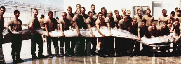 7 m langer Riemenfisch, der an der Küste von San Diego angespült wurde.