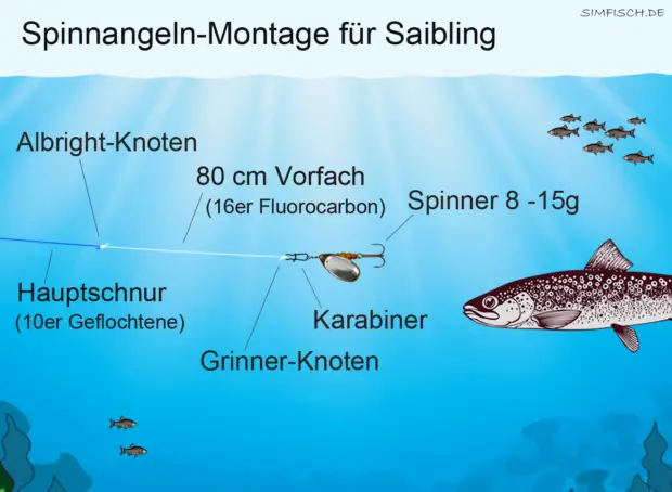 Spinnangeln-Montage für Saibling