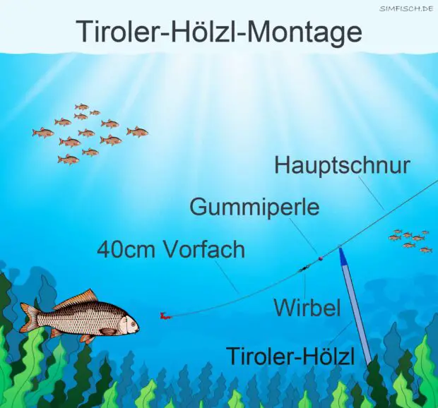Tiroler-Hölzl-Montage