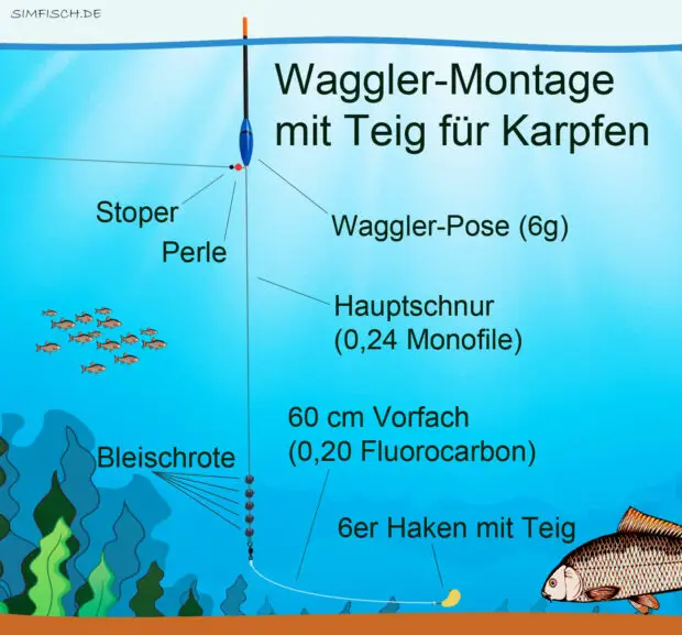 Waggler-Montage mit Teig für Karpfen