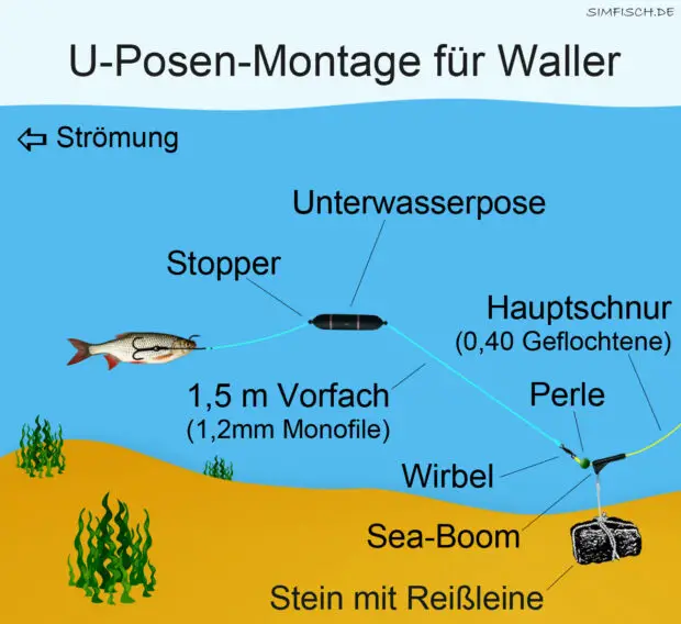 Mit Unterwasserpose auf Wels
