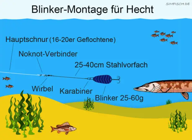 Blinker Montage für Hecht