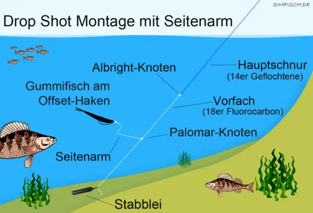 Drop-Shot Montage mit Seitenarm